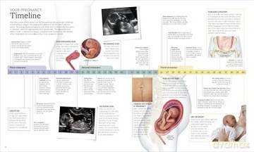 The Pregnancy Encyclopedia: All Your Questions Answered [KSIĄŻKA]