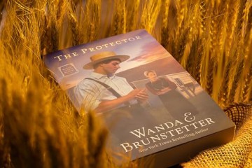 The Protector: A Mifflin County Mystery - Book 1 Volume 1 (Mifflin County Mysteries, 1) - Wanda E Brunstetter [KSIĄŻKA]