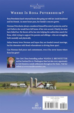 The Protector: A Mifflin County Mystery - Book 1 Volume 1 (Mifflin County Mysteries, 1) - Wanda E Brunstetter [KSIĄŻKA]