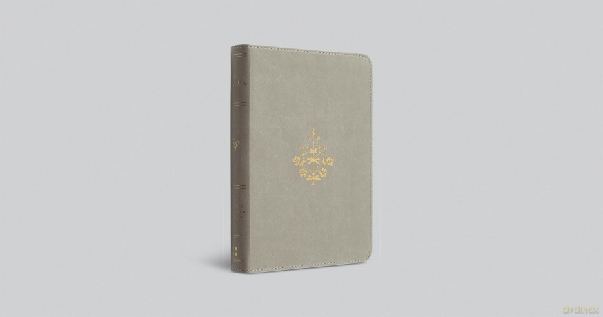 The Psalms, ESV (TruTone, Stone, Branch Design): English Standard Version, Stone, Trutone Branch Design [KSIĄŻKA]