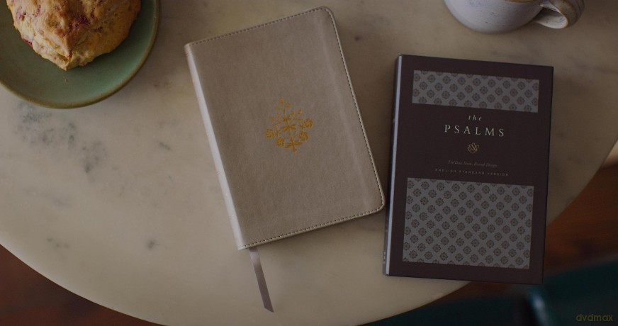 The Psalms, ESV (TruTone, Stone, Branch Design): English Standard Version, Stone, Trutone Branch Design [KSIĄŻKA]