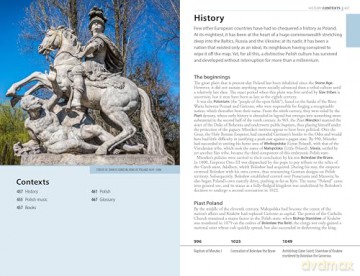 The Rough Guide to Poland: Travel Guide with eBook (Rough Guides Main Series) - Rough Guides [KSIĄŻKA]