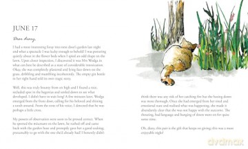 The Secret Diary of Chumleigh the Cat - Paul Lawrence [KSIĄŻKA]