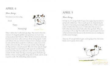 The Secret Diary of Chumleigh the Cat - Paul Lawrence [KSIĄŻKA]