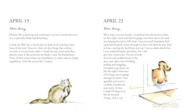 The Secret Diary of Chumleigh the Cat - Paul Lawrence [KSIĄŻKA]