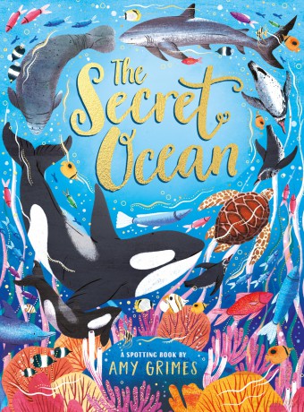 The Secret Ocean: A Spotting Book - Amy Grimes [KSIĄŻKA]