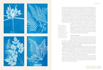 The Secrets of Great Botanists: And What They Teach Us About Gardening - Matthew Biggs [KSIĄŻKA]