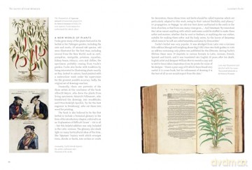 The Secrets of Great Botanists: And What They Teach Us About Gardening - Matthew Biggs [KSIĄŻKA]