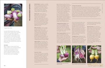 The Seed Hunter: Discover the World's Most Unusual Heirloom Plants - Mitch McCulloch [KSIĄŻKA]
