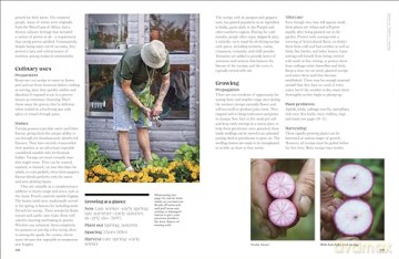The Seed Hunter: Discover the World's Most Unusual Heirloom Plants - Mitch McCulloch [KSIĄŻKA]