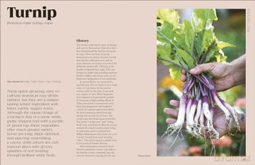 The Seed Hunter: Discover the World's Most Unusual Heirloom Plants - Mitch McCulloch [KSIĄŻKA]