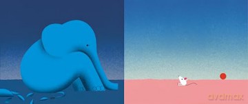 The Shadow Elephant - Nadine Robert [KSIĄŻKA]