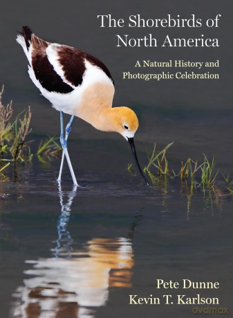 The Shorebirds of North America: A Natural History and Photographic Celebration - Pete Dunne [KSIĄŻKA]