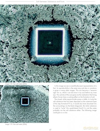 The Silent Language of Life: Research into Formative Forces in Water Drops - Inge Just-Nastansky [KSIĄŻKA]