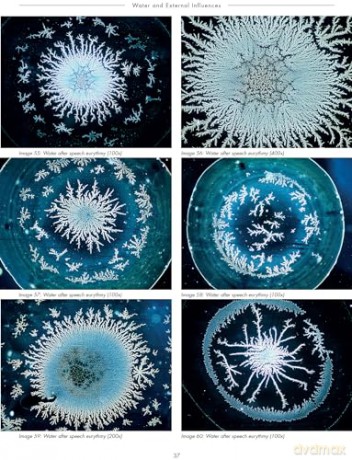 The Silent Language of Life: Research into Formative Forces in Water Drops - Inge Just-Nastansky [KSIĄŻKA]