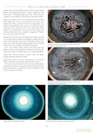 The Silent Language of Life: Research into Formative Forces in Water Drops - Inge Just-Nastansky [KSIĄŻKA]