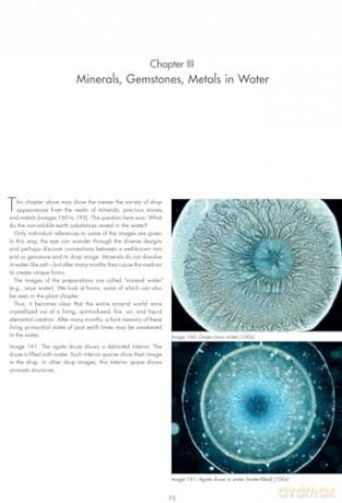 The Silent Language of Life: Research into Formative Forces in Water Drops - Inge Just-Nastansky [KSIĄŻKA]