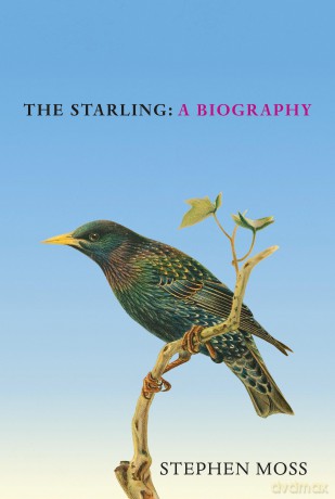 The Starling: A Biography (The Bird Biography Series, 6) - Stephen Moss [KSIĄŻKA]