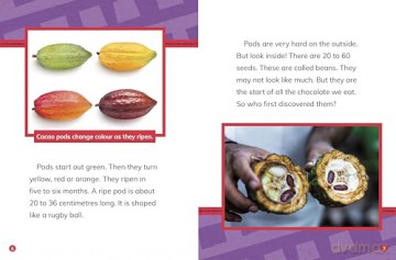 The Story of Chocolate (Stories of Everyday Things) - Gloria Koster [KSIĄŻKA]