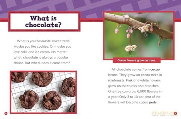 The Story of Chocolate (Stories of Everyday Things) - Gloria Koster [KSIĄŻKA]
