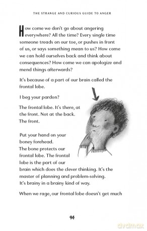 The Strange and Curious Guide to Anger (Strange and Curious Guides) - Sally Donovan [KSIĄŻKA]