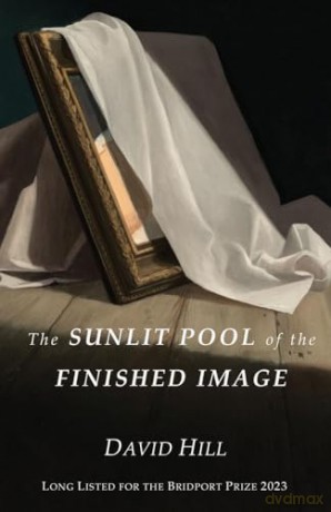 The Sunlit Pool of the Finished Image - David Hill [KSIĄŻKA]