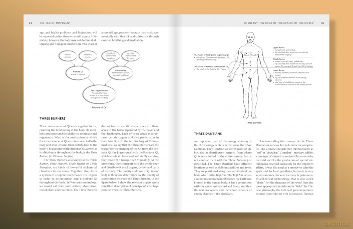 The Tao of Movement: Chinese Medicine Principles for Movers - Zuna Vesan Kozánková [KSIĄŻKA]