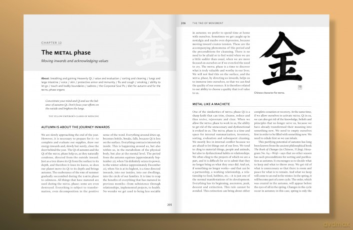 The Tao of Movement: Chinese Medicine Principles for Movers - Zuna Vesan Kozánková [KSIĄŻKA]