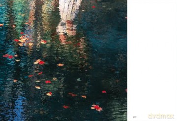 The Tapestry - Erik Madigan Heck [KSIĄŻKA]