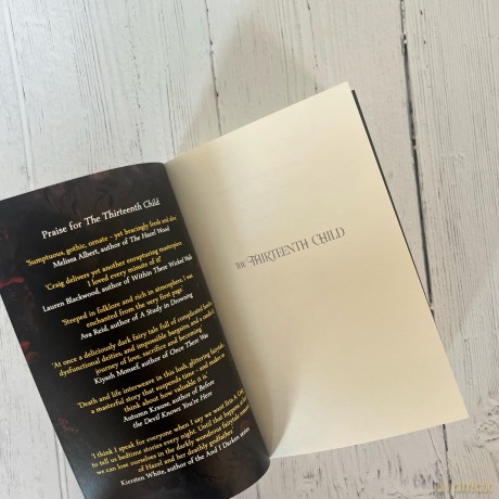 The Thirteenth Child: The Number 1 New York Times Bestseller - Erin A. Craig [KSIĄŻKA]