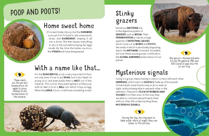 The Top Ten: Grossest Animals - Cristina Banfi [KSIĄŻKA]