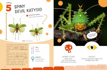 The Top Ten: Weirdest Bugs - Cristina Banfi [KSIĄŻKA]