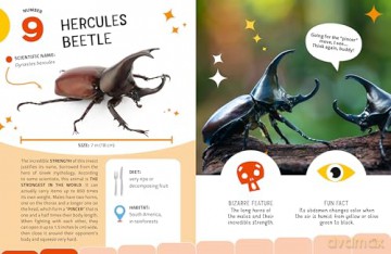 The Top Ten: Weirdest Bugs - Cristina Banfi [KSIĄŻKA]