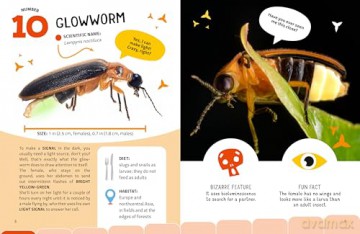The Top Ten: Weirdest Bugs - Cristina Banfi [KSIĄŻKA]