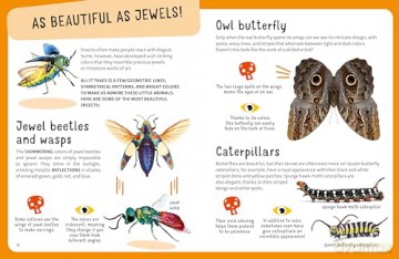 The Top Ten: Weirdest Bugs - Cristina Banfi [KSIĄŻKA]