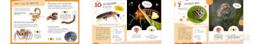 The Top Ten: Weirdest Bugs - Cristina Banfi [KSIĄŻKA]