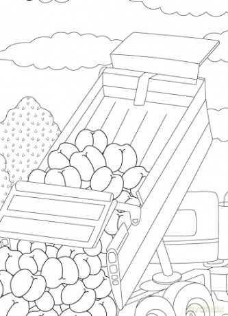 The Ultimate Butt Coloring and Activity Book - Brains [KSIĄŻKA]