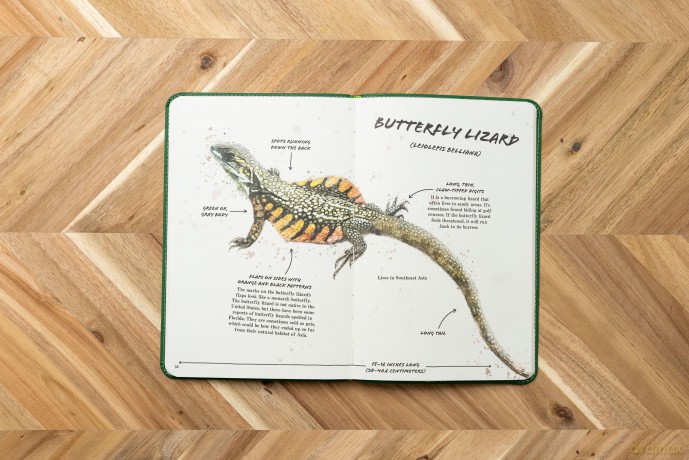 The Ultimate Reptile Field Guide: The Herpetologist's Handbook (Ultimate Field Guides) [KSIĄŻKA]