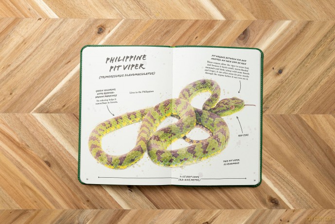 The Ultimate Reptile Field Guide: The Herpetologist's Handbook (Ultimate Field Guides) [KSIĄŻKA]