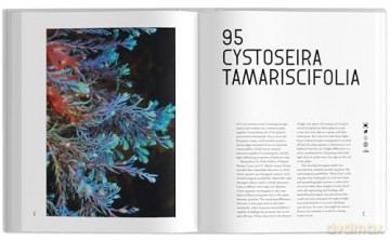 The Universe in 100 Colors: Weird and Wondrous Colors from Science and Nature - Tyler Thrasher [KSIĄŻKA]