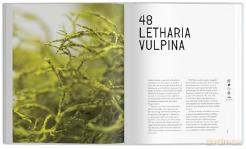 The Universe in 100 Colors: Weird and Wondrous Colors from Science and Nature - Tyler Thrasher [KSIĄŻKA]