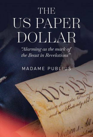 The US Paper Dollar [KSIĄŻKA]