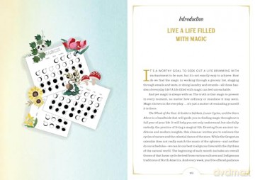 The Wheel of the Year: A Guide to Sabbats, Lunar Cycles, and the Stars Above - Nikki Van De Car [KSIĄŻKA]