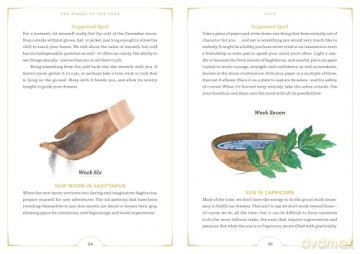 The Wheel of the Year: A Guide to Sabbats, Lunar Cycles, and the Stars Above - Nikki Van De Car [KSIĄŻKA]