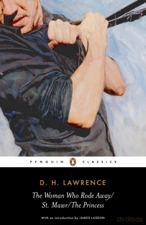The Woman Who Rode Away/St. Mawr/The Princess - D. H. Lawrence [KSIĄŻKA]