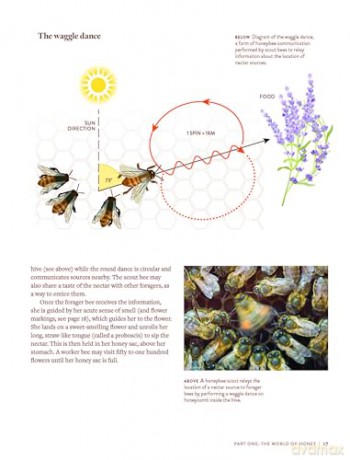The World Atlas of Honey - C. Marina Marchese [KSIĄŻKA]