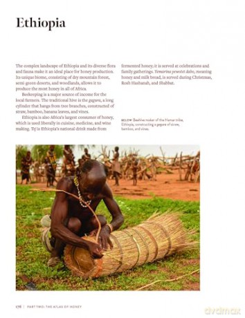 The World Atlas of Honey - C. Marina Marchese [KSIĄŻKA]