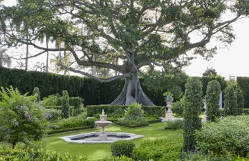 The Young Man and the Tree: Fernando Wong Landscape Design - Tim Johnson [KSIĄŻKA]