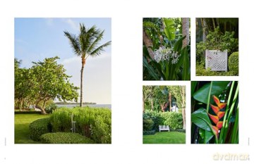 The Young Man and the Tree: Fernando Wong Landscape Design - Tim Johnson [KSIĄŻKA]