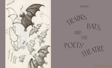 Theatrical Adventures of Edward Gorey: Rare Drawings, Scripts, and Stories - Carol Verburg [KSIĄŻKA]